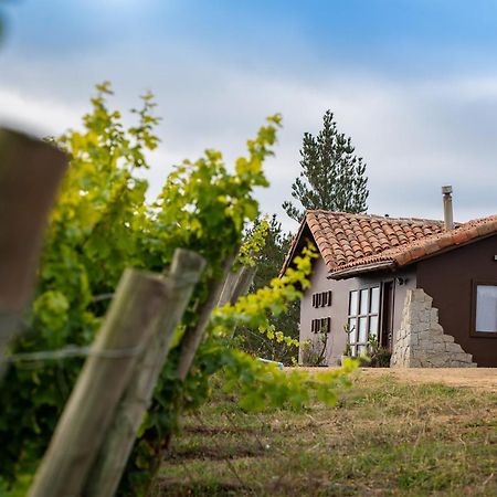 Bungalow Miramar & Jeronimo At Casa Marin Vineyards Bed & Breakfast Cartagena  Luaran gambar