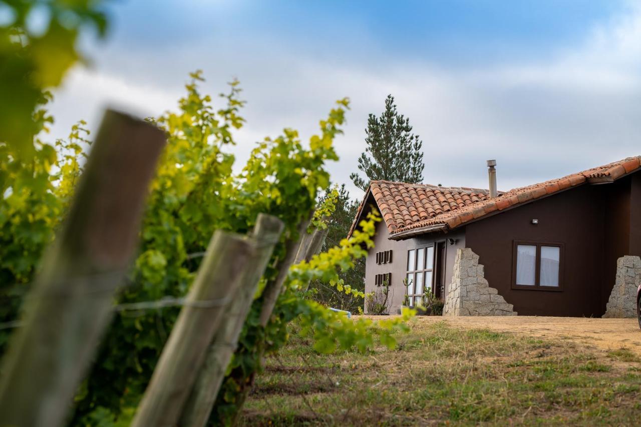 Bungalow Miramar & Jeronimo At Casa Marin Vineyards Bed & Breakfast Cartagena  Luaran gambar